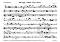 An Steffl Hansei seina - Polka 
