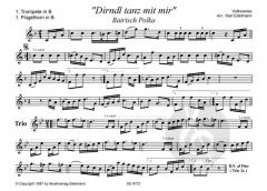 Dirndl tanz mit mir - Bairisch Polka 