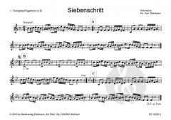 'aufg'spielt zum Volkstanz': Siebenschritt 