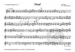 'aufg'spielt zum Volkstanz': Woaf 