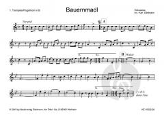 'aufg'spielt zum Volkstanz': Bauernmadl 