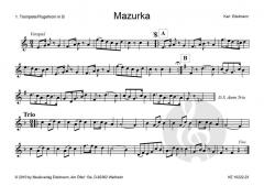 'aufg'spielt zum Volkstanz': Mazurka 