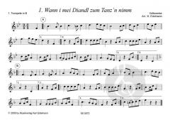 Bairische Tanzlmusi 3 