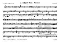 Bairische Tanzlmusi 4 