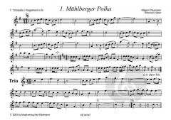 Bairische Tanzlmusi 6 