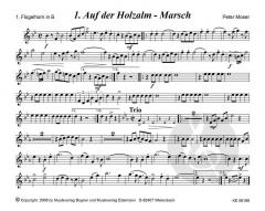 Tanzl'n zum tanz'n von Peter Moser 