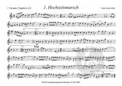 Alpenländische Tanzlmusi 1 