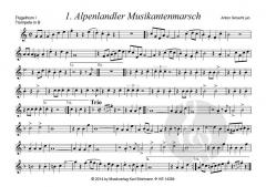Alpenlandler Musikanten von Anton Gmachl 