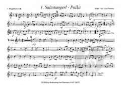 Böhmerwälder Tanzbodenmusik 