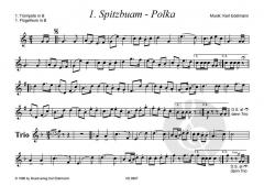 Bairische Tanzlmusi 1 von Karl Edelmann 