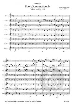 Vom Donaustrande op. 356 von Johann Strauss (Sohn) 