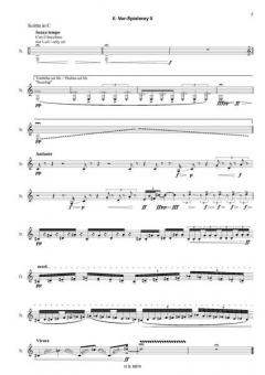 Sammelsurium Nr. 2 von Johannes X. Schachtner 