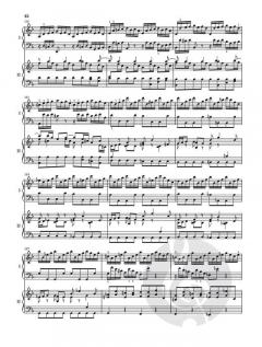 Cembalokonzert Nr. 1 d-moll BWV 1052 von Johann Sebastian Bach 