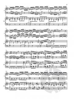 Cembalokonzert Nr. 1 d-moll BWV 1052 von Johann Sebastian Bach 