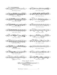 42 Etüden von Rodolphe Kreutzer 