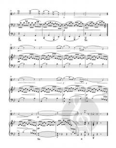 Romantische Stücke op. 75 von Antonín Dvořák 