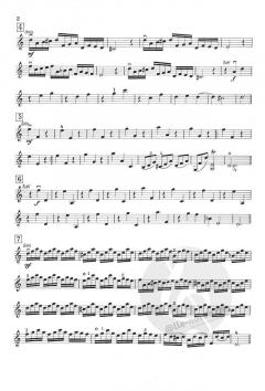 Concerto grosso 'La Follia' von Francesco Geminiani (Download) 