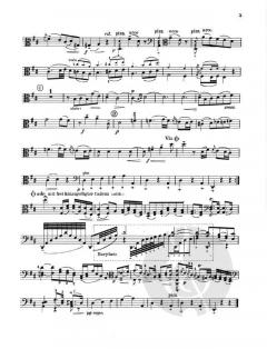 Divertimento Nr. 113 D-Dur Hob.XI:113 von Joseph Haydn (Download) 