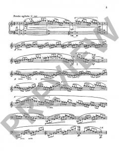 Der Kreis von Leo Nadelmann 