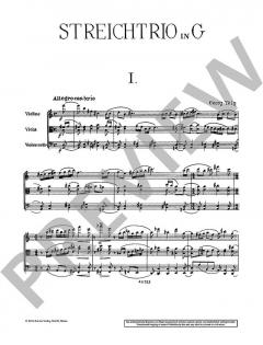 Streichtrio in G von Georg Tölg im Alle Noten Shop kaufen