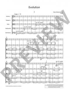 Evolution von Peter Michael Braun 