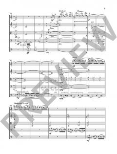 Evolution von Peter Michael Braun 