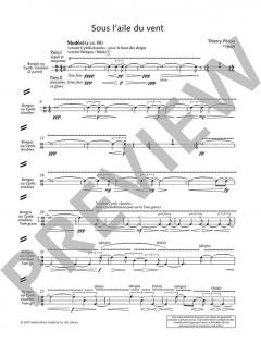 Sous l'aile du vent von Thierry Pecou (Download) 