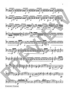 Danse en cercle von Thierry Pecou (Download) 