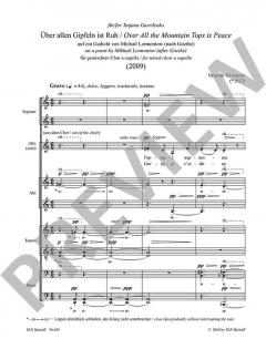 Über allen Gipfeln ist Ruh von Valentin Silvestrov 