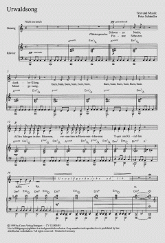 Urwaldsong (Peter Schindler) 