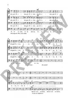 Römische Weinsprüche 'Pete me imple' von Harald Genzmer (Download) 