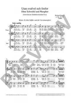 Utan svafvel och fosfor op. AV. 88 von Richard Strauss (Download) 