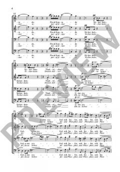 Utan svafvel och fosfor op. AV. 88 von Richard Strauss (Download) 