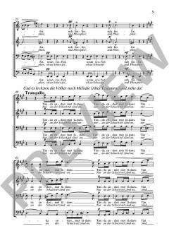 Utan svafvel och fosfor op. AV. 88 von Richard Strauss (Download) 