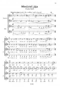 Dzimtene von Peteris Vasks (Download) 