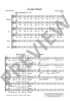 An den Mond von Raquel Cristóbal (Download) 