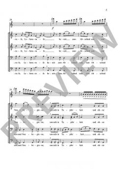 Stufen von Alwin Michael Schronen (Download) 