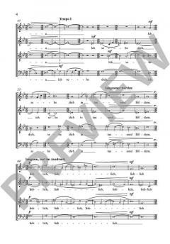 Ich sehe dich in tausend Bildern von Peter Paul Förster (Download) 