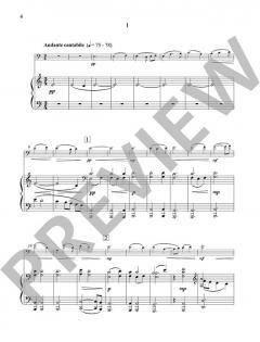 Concerto no. 2 von Peteris Vasks (Download) 