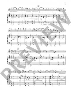 Concerto no. 2 von Peteris Vasks (Download) 