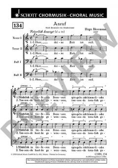 Anruf von Hugo Herrmann (Download) 