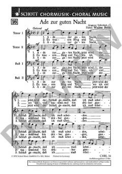 Ade zur guten Nacht von Walter Rein (Download) 