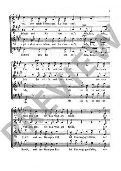 Der Greis von Joseph Haydn (Download) 