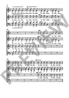 Drei ungarische Volkslieder Nr. 1 von Klaus Fischbach (Download) 