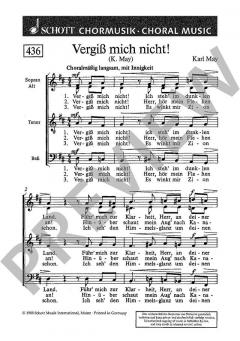 Vergiss mich nicht! von Karl May (Download) 