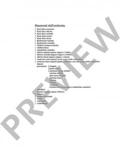 Spielmusiken von Hans Werner Henze (Download) 