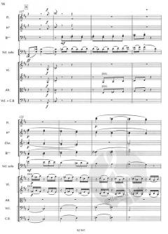 Allegro appassionato h-Moll op. 43 von Camille Saint-Saëns (Download) 