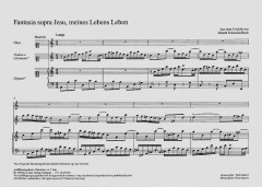 Fantasia sopra Jesu, meines Lebens Leben 