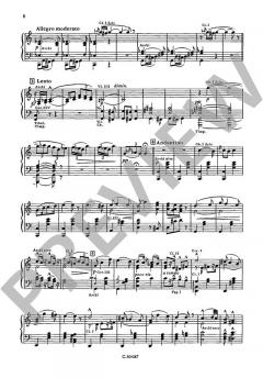 Der Zigeunerbaron von Johann Strauss (Sohn) 