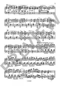 Der Zigeunerbaron von Johann Strauss (Sohn) 